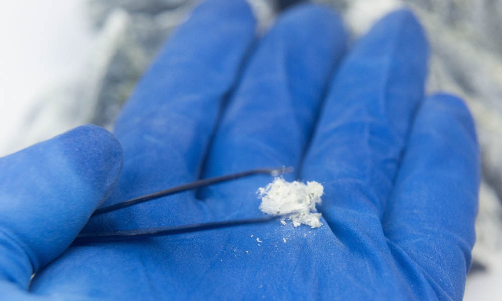 Step4　検体採取と写真撮影