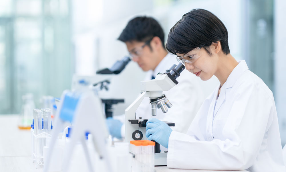 Step5　検体分析と報告書作成